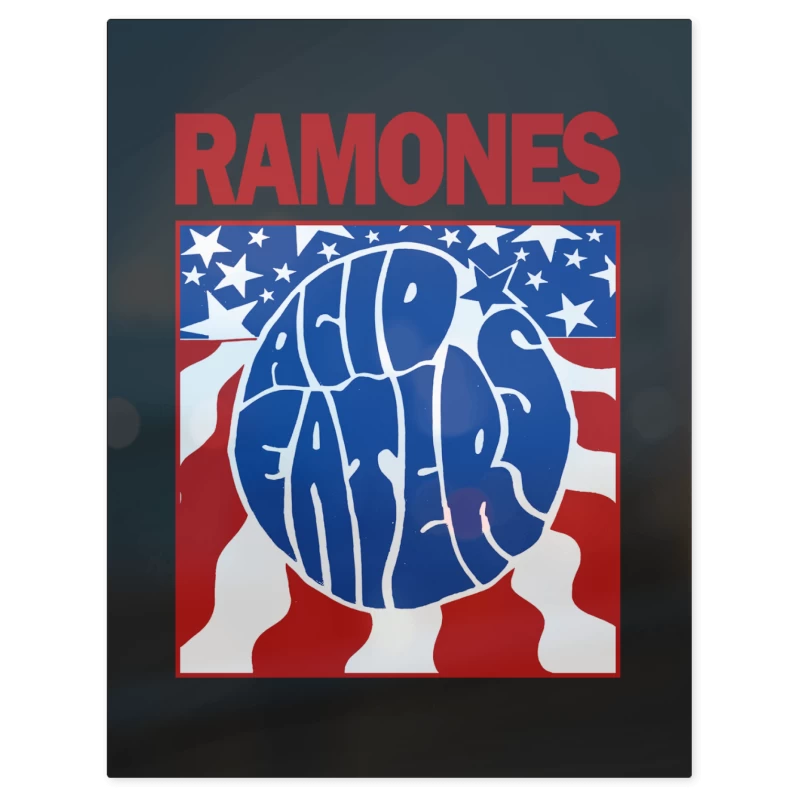 Ramones Acid Eaters V2 – Print Metálico