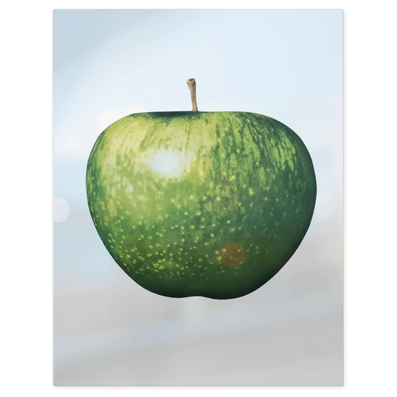 Apple Records – Print Metálico