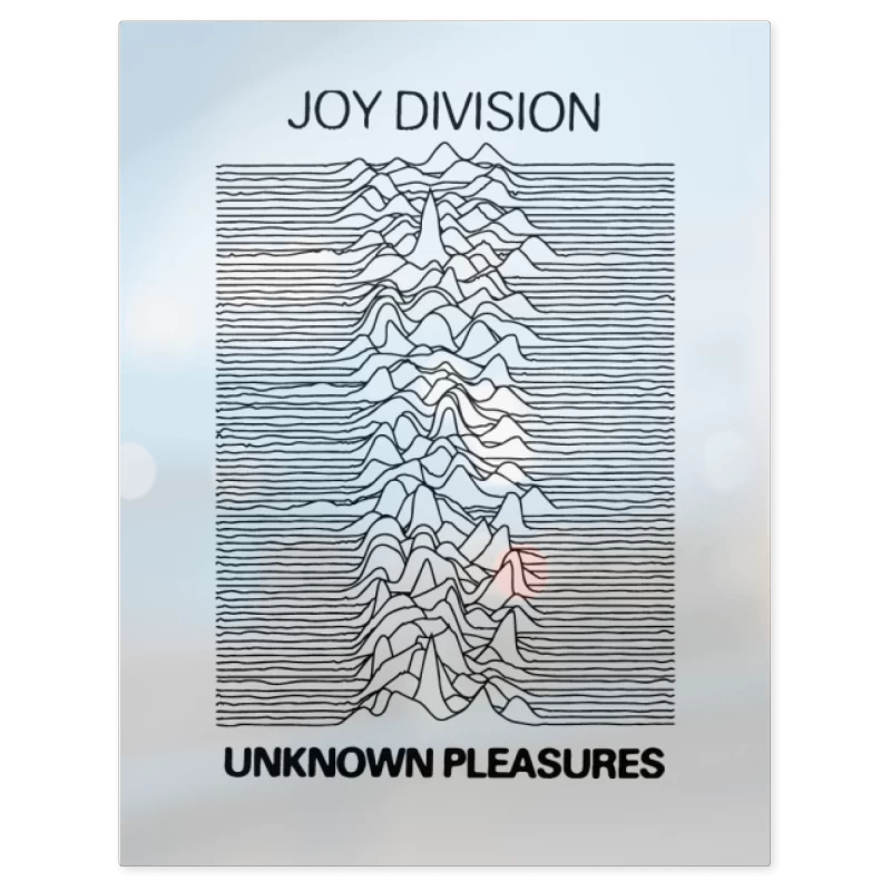Joy Division – Print Metálico