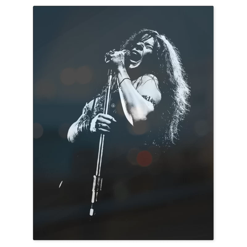 Janis Joplin – Print Metálico
