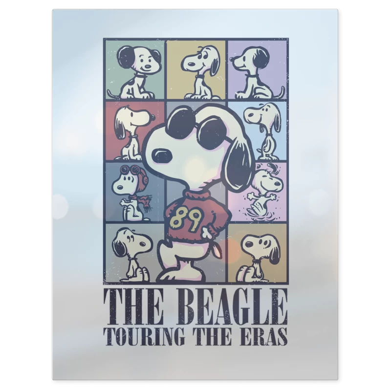 Snoopy Eras – Print Metálico