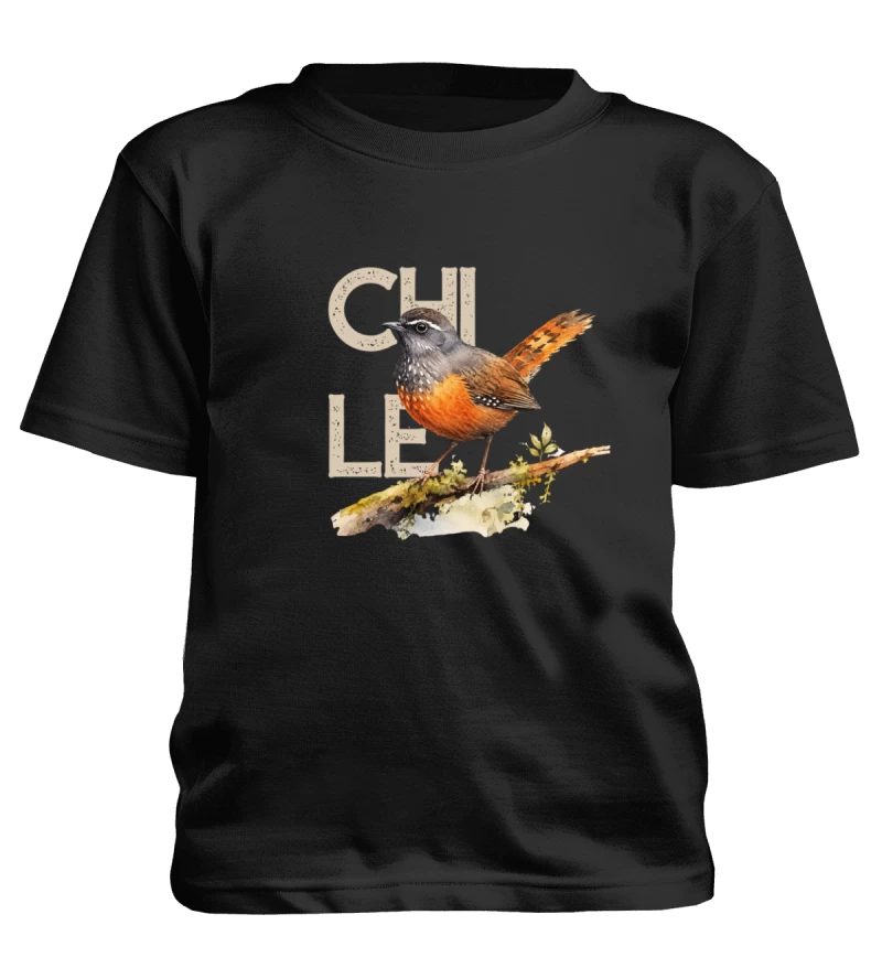Polera de niño Chucao II