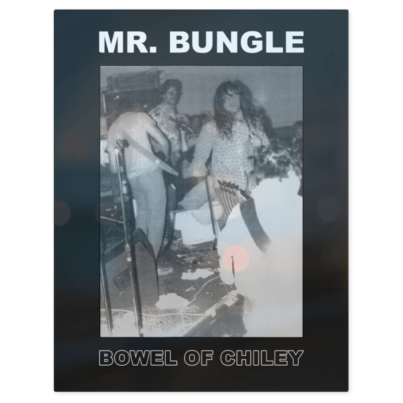Mr Bungle Bowel of Chiley N – Print Metálico