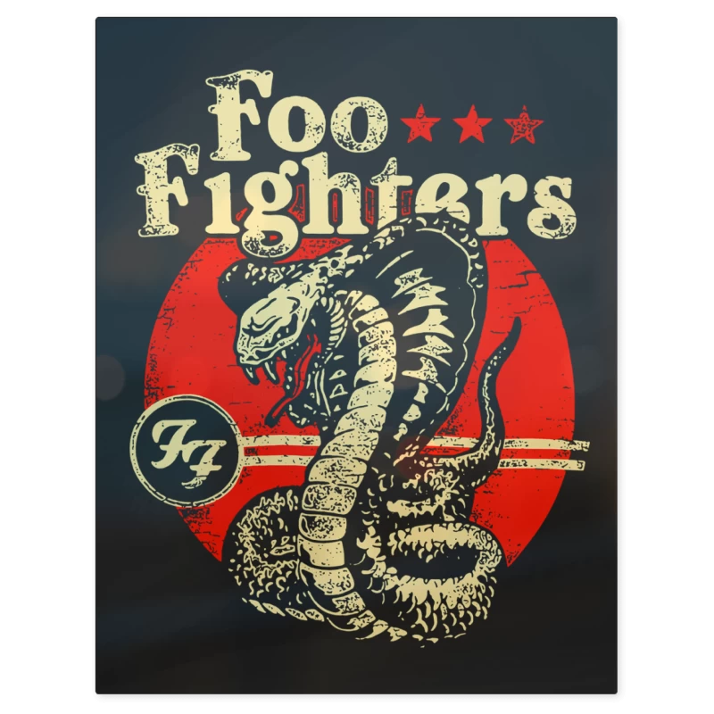 Foo Fighters Cobra – Print Metálico
