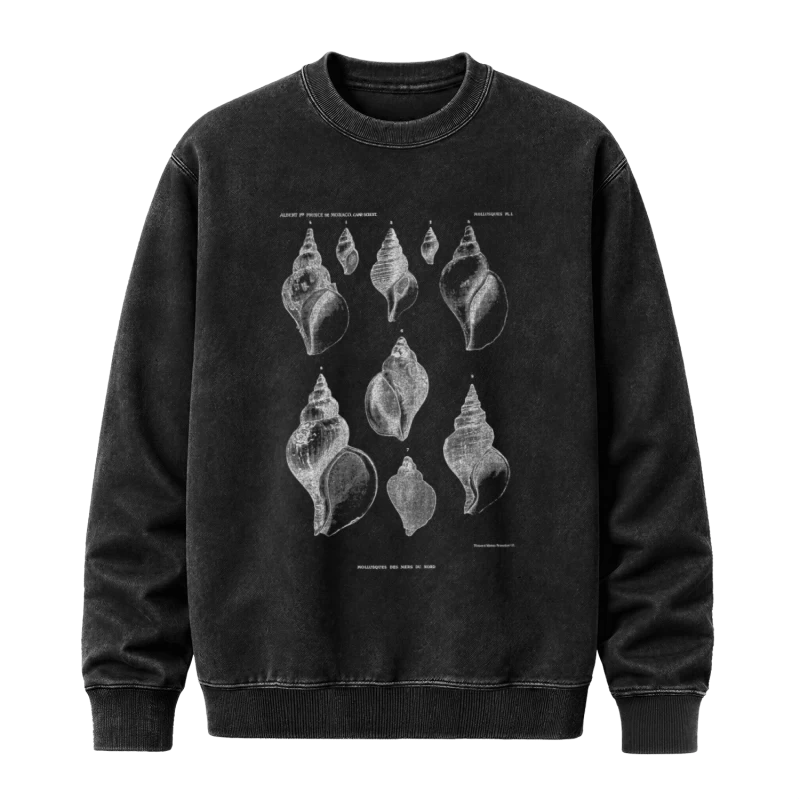 Polerón Conchas marinas, Albert I de Mónaco — Arte científico del mar, diseño vintage unisex, diseño náutico de ilustración científica antigua