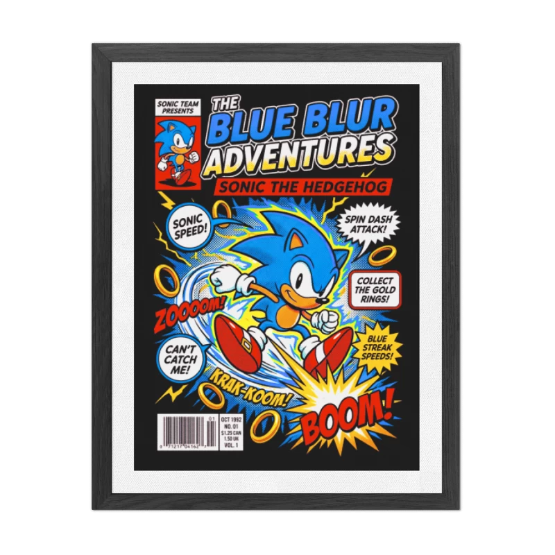 Cuadro Sonic the Hedgehog – The Blue Blur Adventures