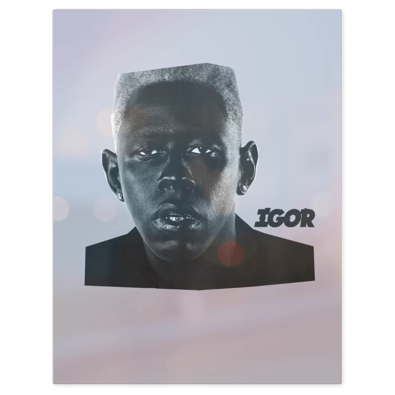 Tyler the Creator Igor – Print Metálico