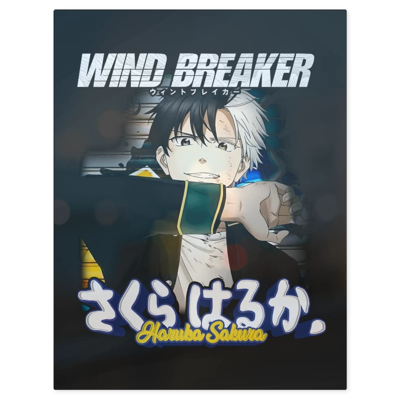 Haruka Sakura Wind Breaker – Print Metálico