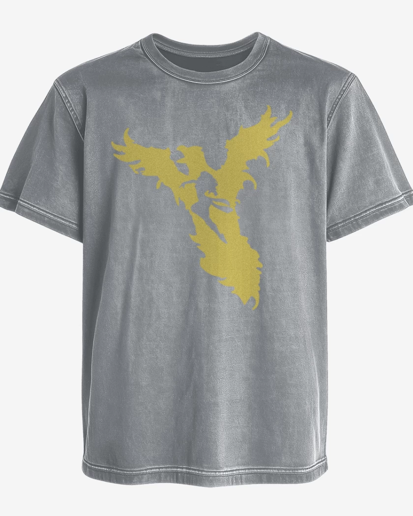 Polera desgastada Gris Melange de Fenix 1