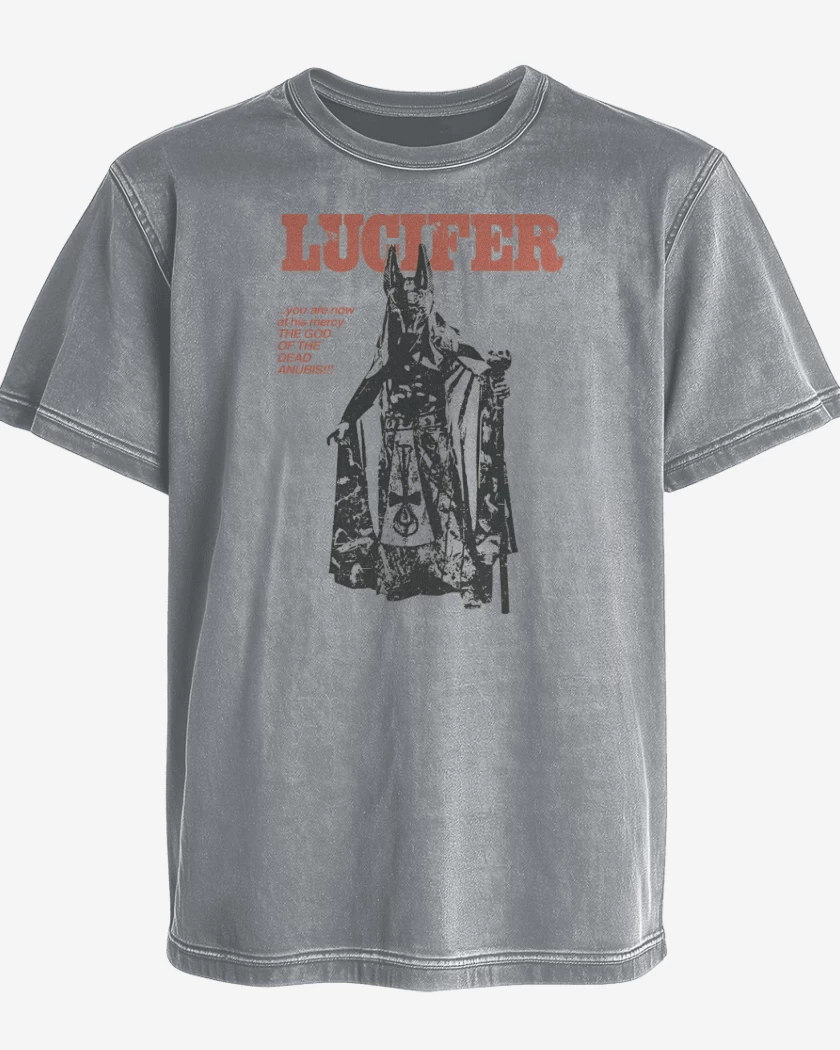 Polera desgastada Gris Melange de Anubis