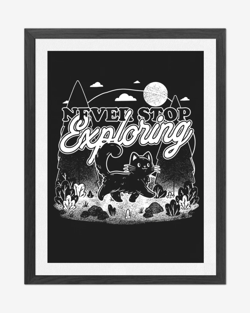 Cuadro decorativo Negro de Gatito Explorador