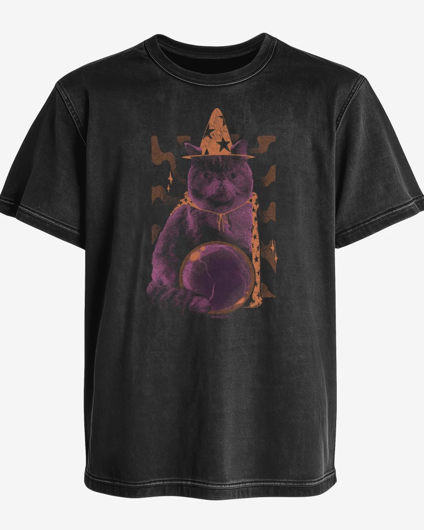 Polera desgastada Gatito Adivino