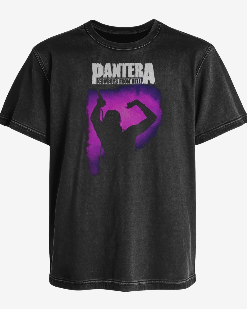 Polera desgastada Pantera Anselmo