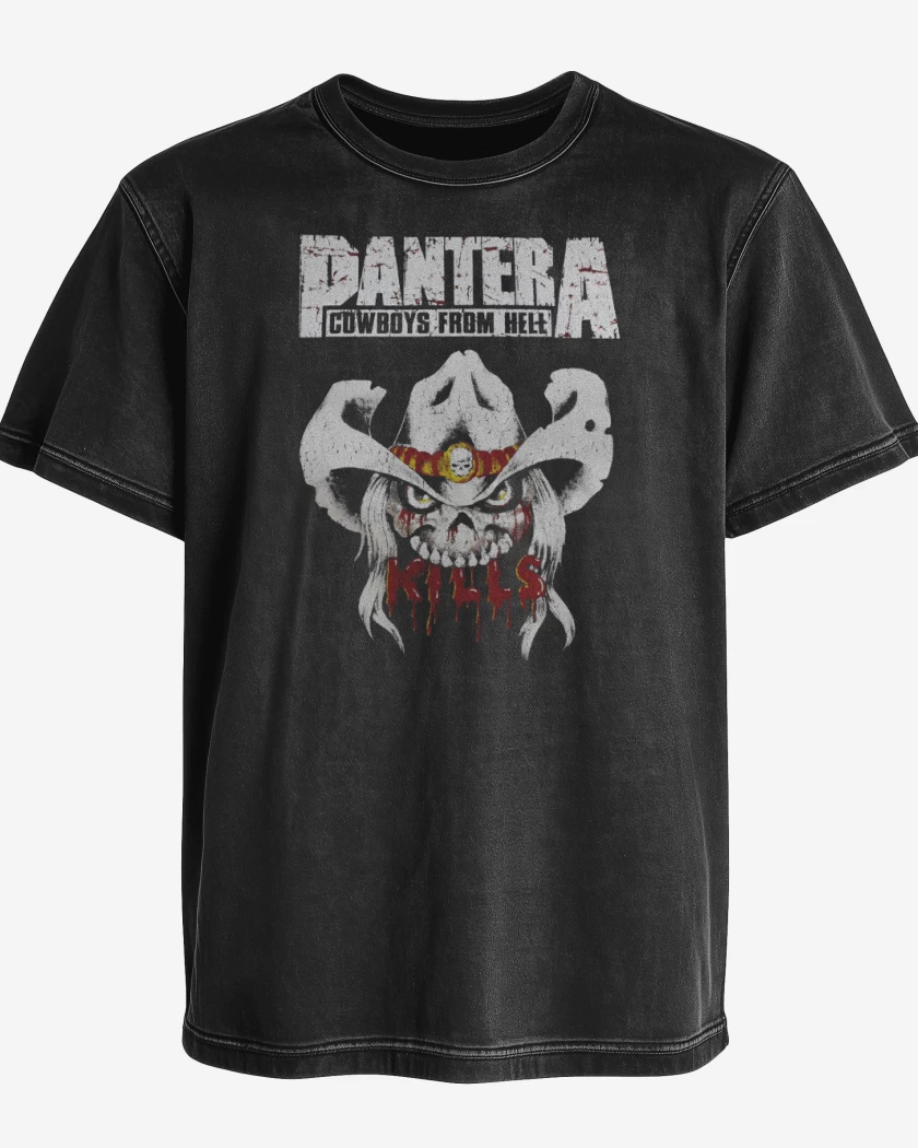 Polera desgastada Pantera Kills