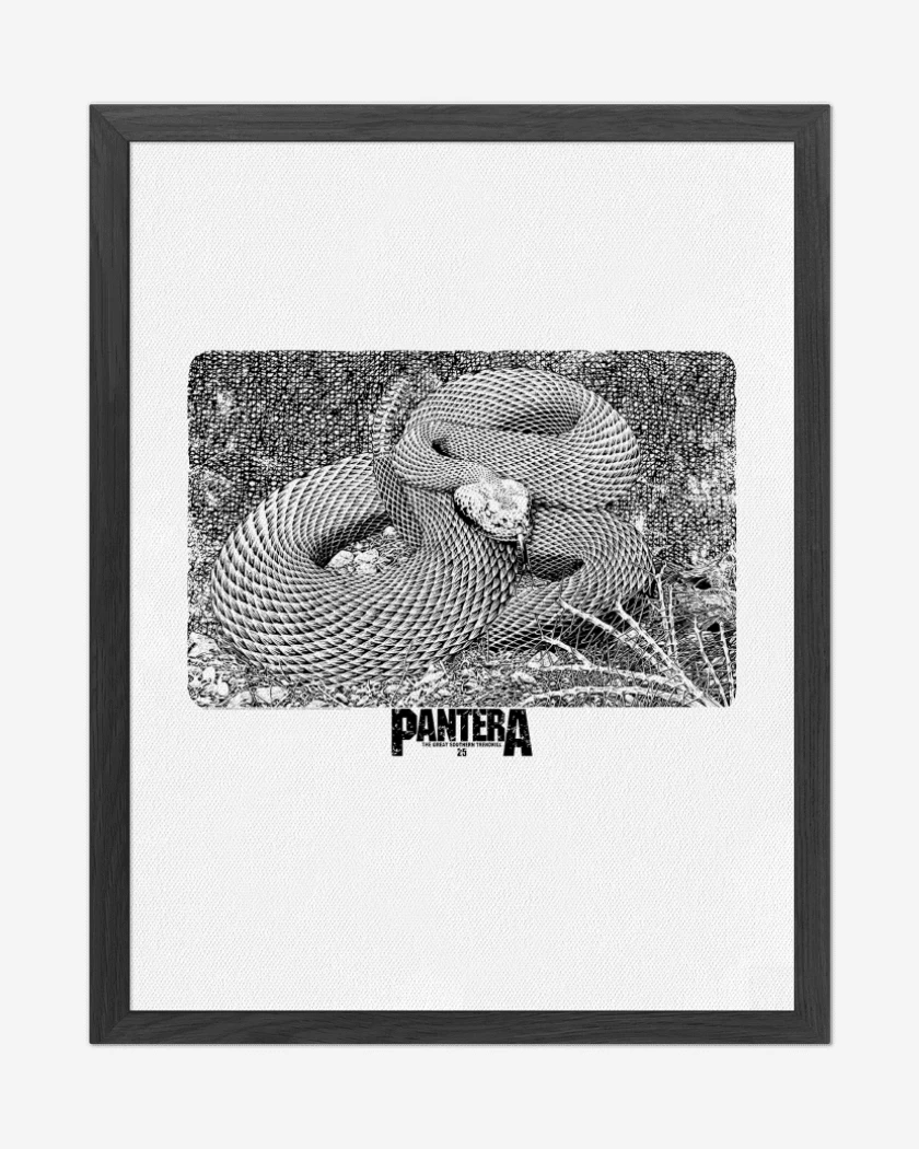 Cuadro decorativo Pantera Trendkill