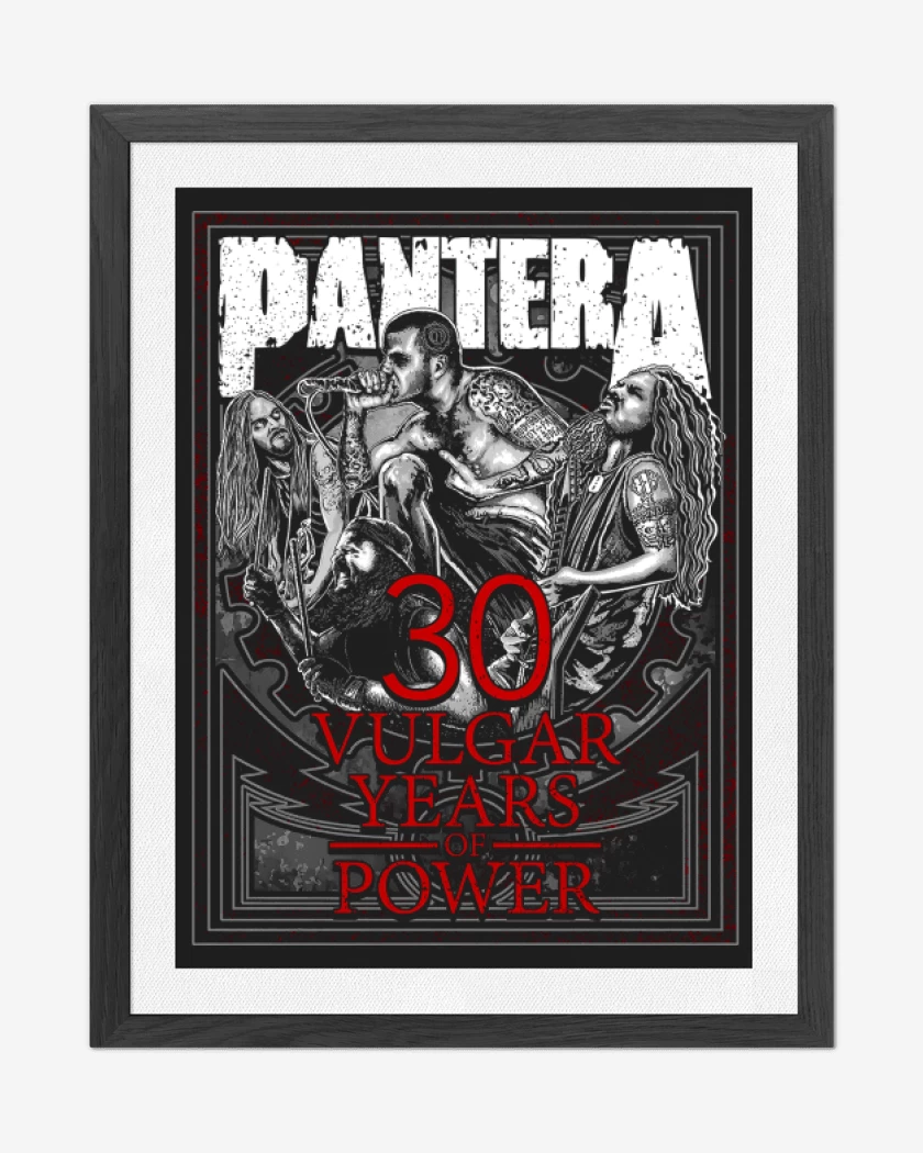 Cuadro decorativo Pantera 30 Vulgar Years