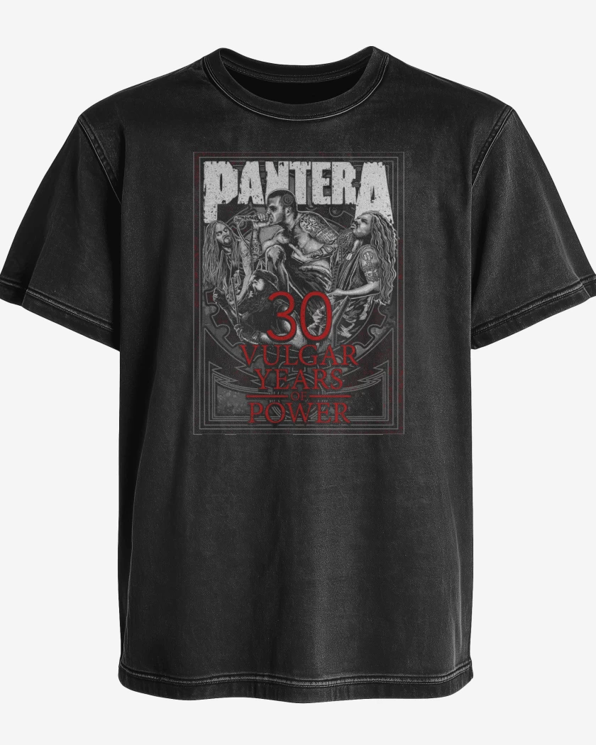 Polera desgastada Pantera 30 Vulgar Years