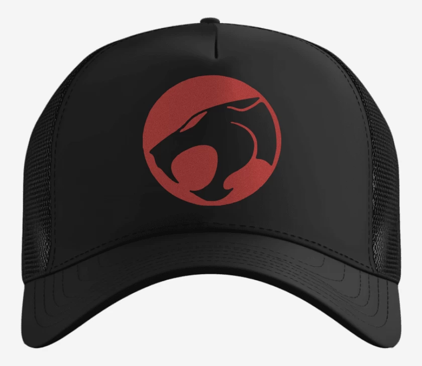 Gorro Thundercats