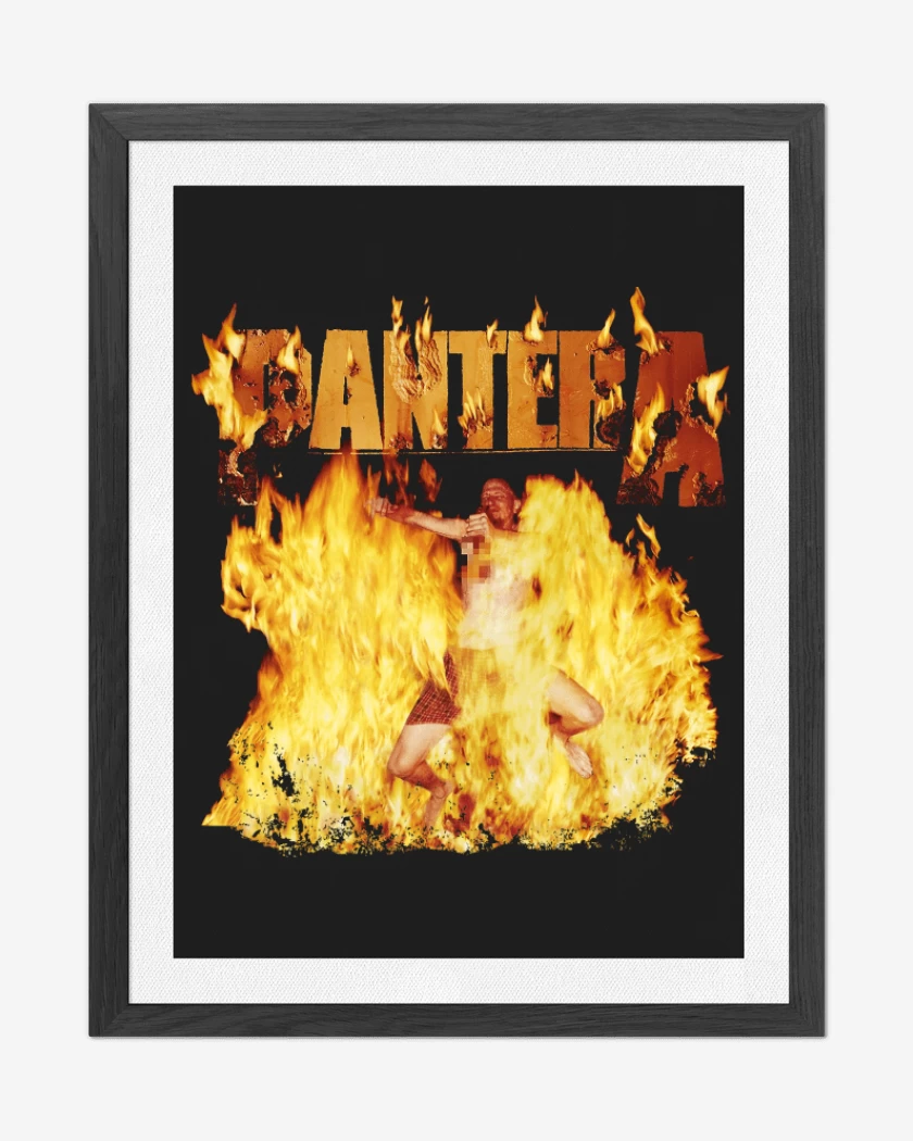 Cuadro decorativo Pantera Reinventing the Steel