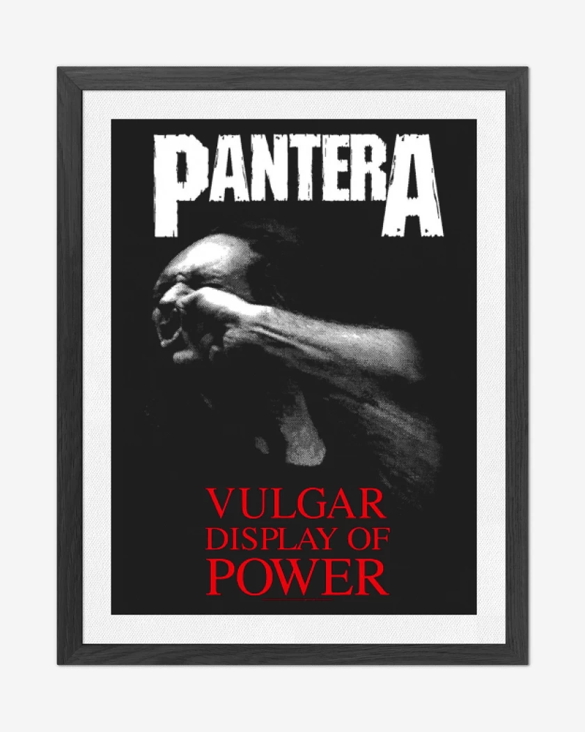 Cuadro decorativo Pantera Vulgar Display of Power