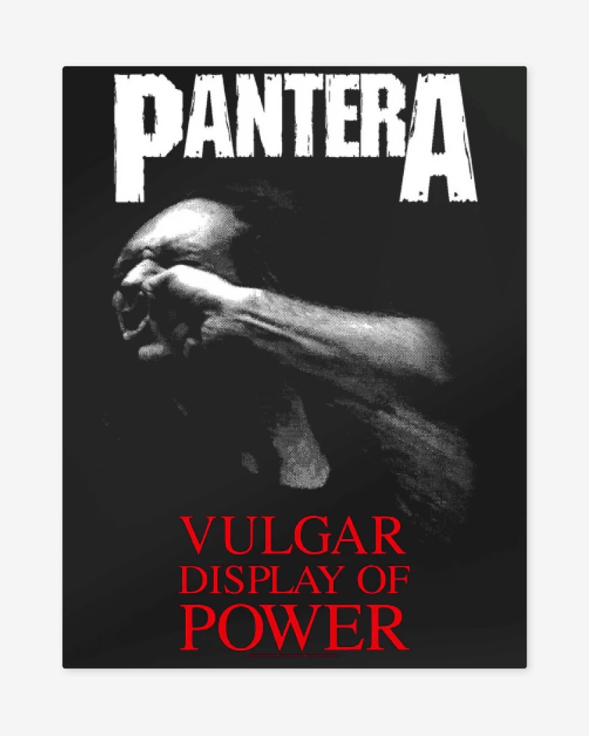 Print metalico Pantera Vulgar Display of Power