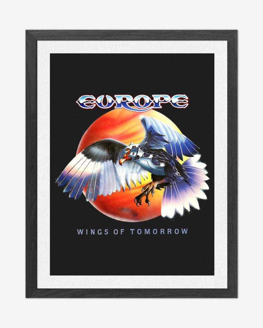 Cuadro decorativo Negro de Europe Wings of Tomorrow