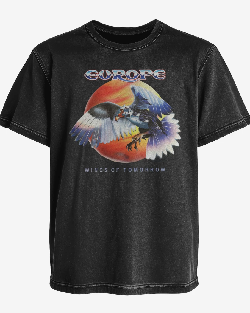 Polera desgastada Europe Wings of Tomorrow