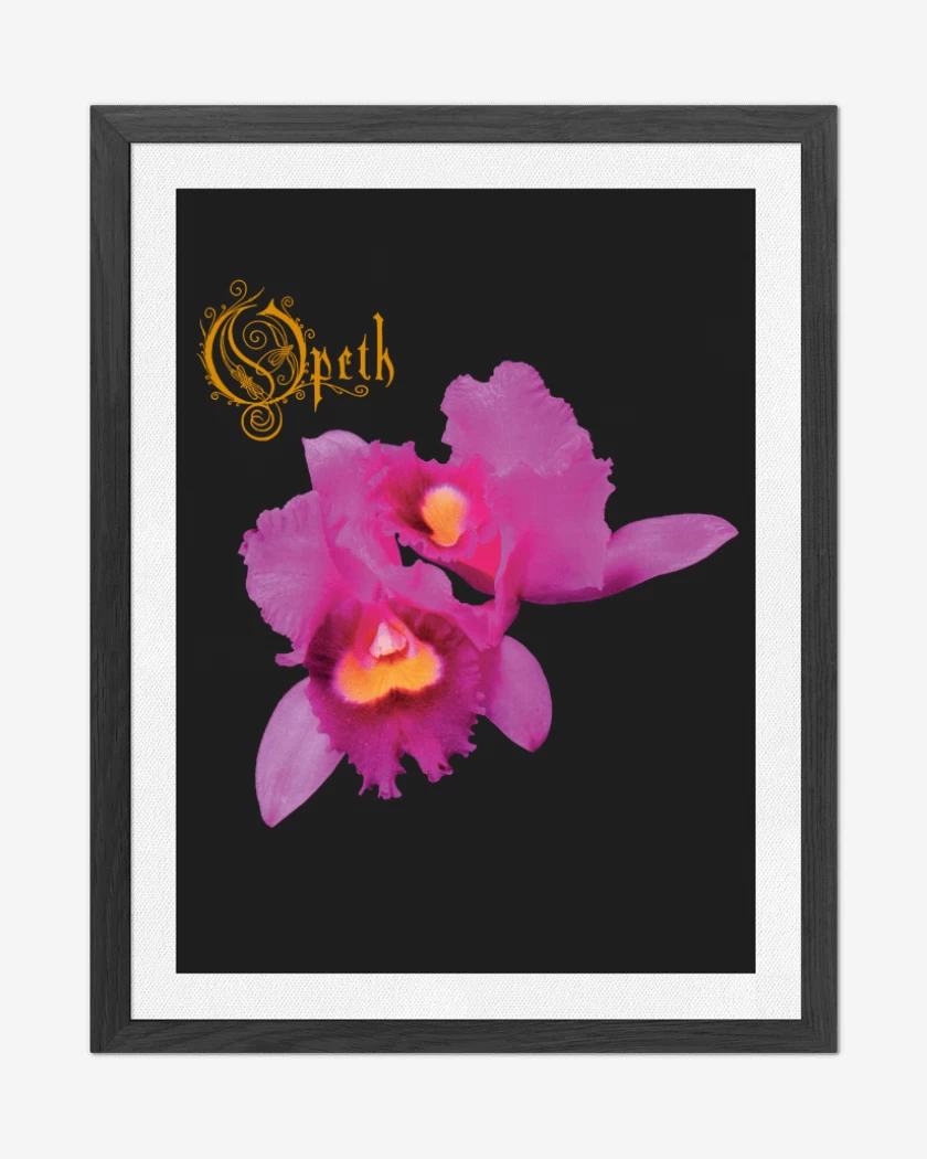 Cuadro decorativo Negro de Orchid