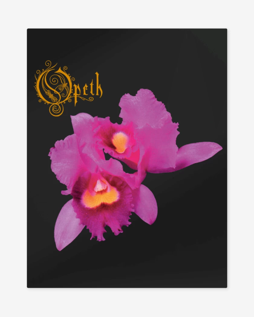 Print metalico Negro de Orchid