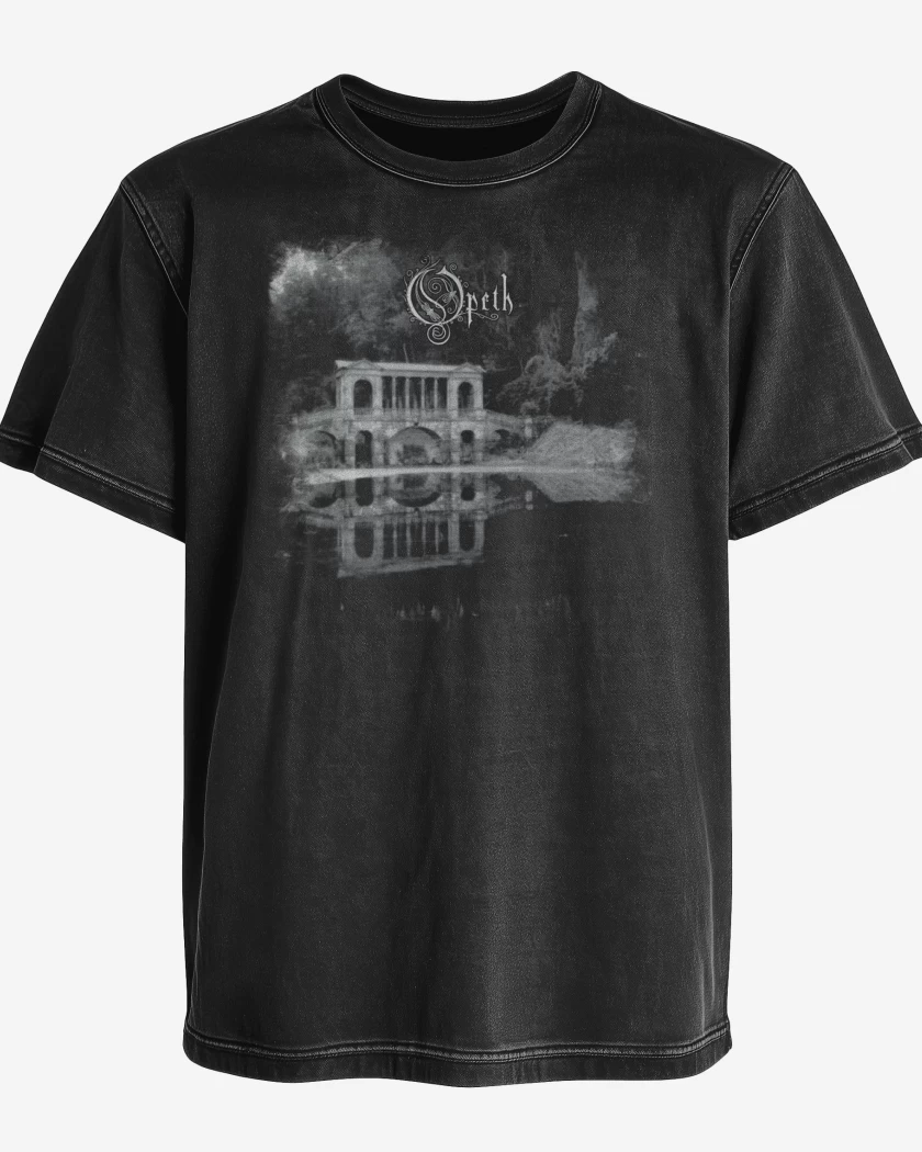 Polera desgastada Morningrise