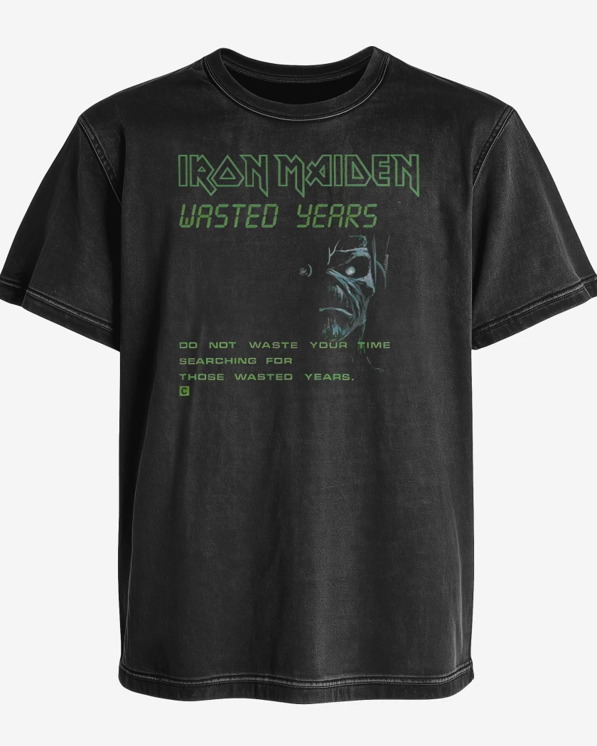 Polera desgastada Iron Maiden Wasted Years
