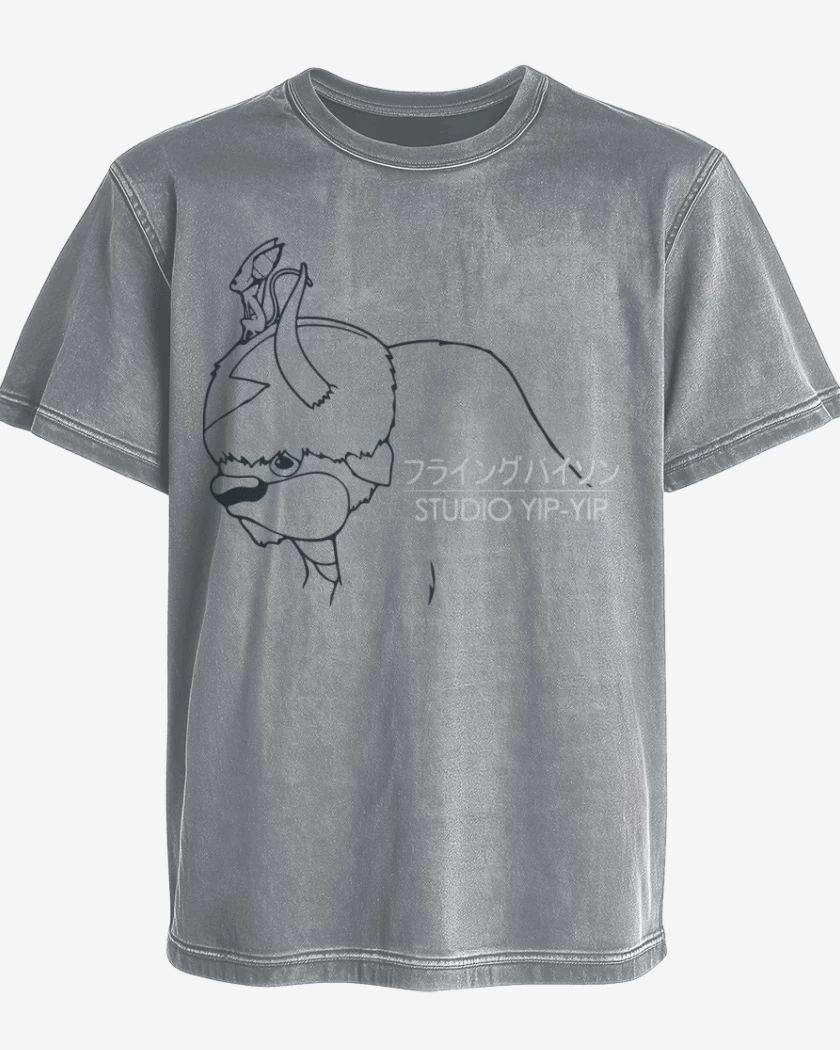 Polera desgastada Avatar 1