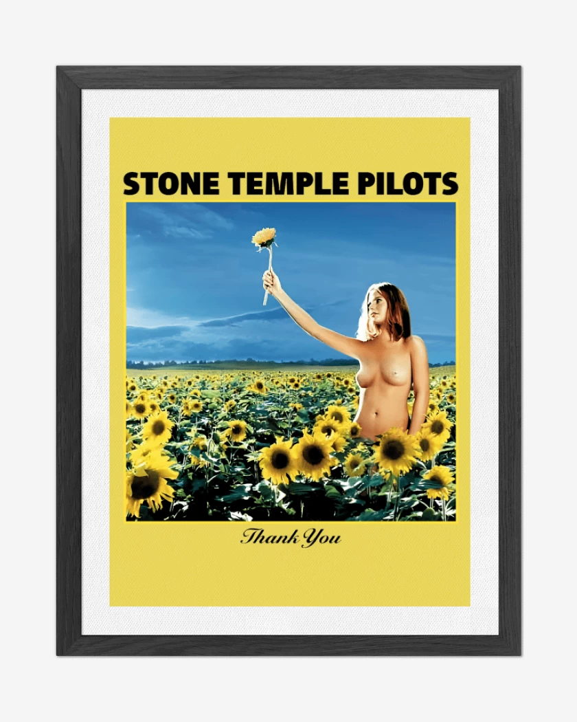 Cuadro decorativo Stone Temple Pilots Thank You