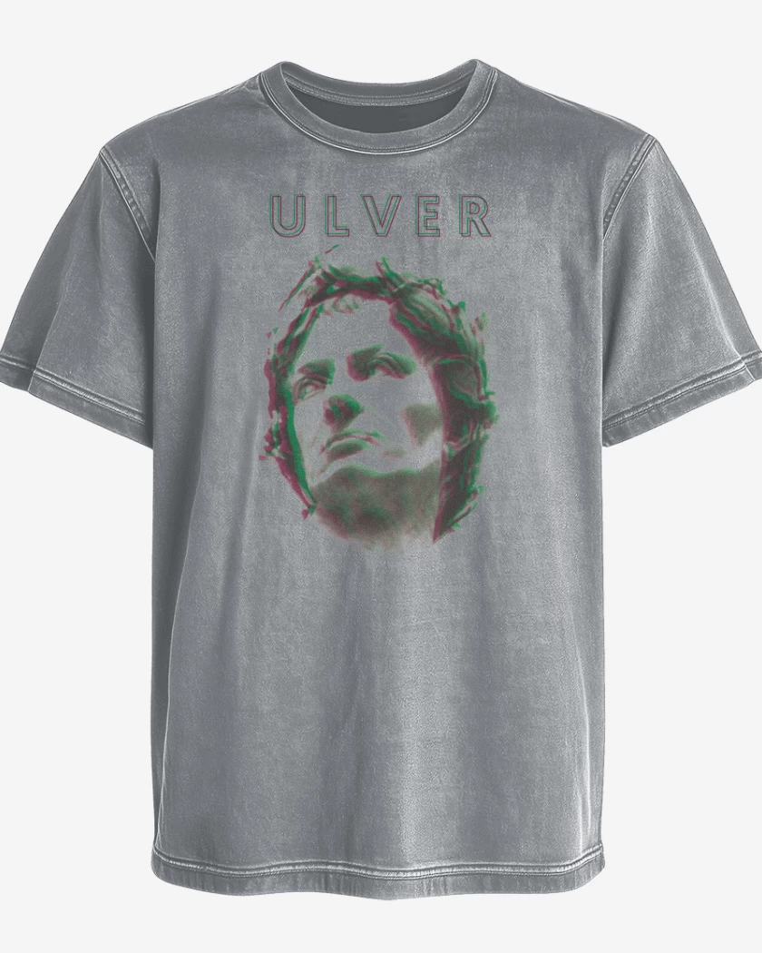 Polera desgastada Gris Melange de Ulver Dante 