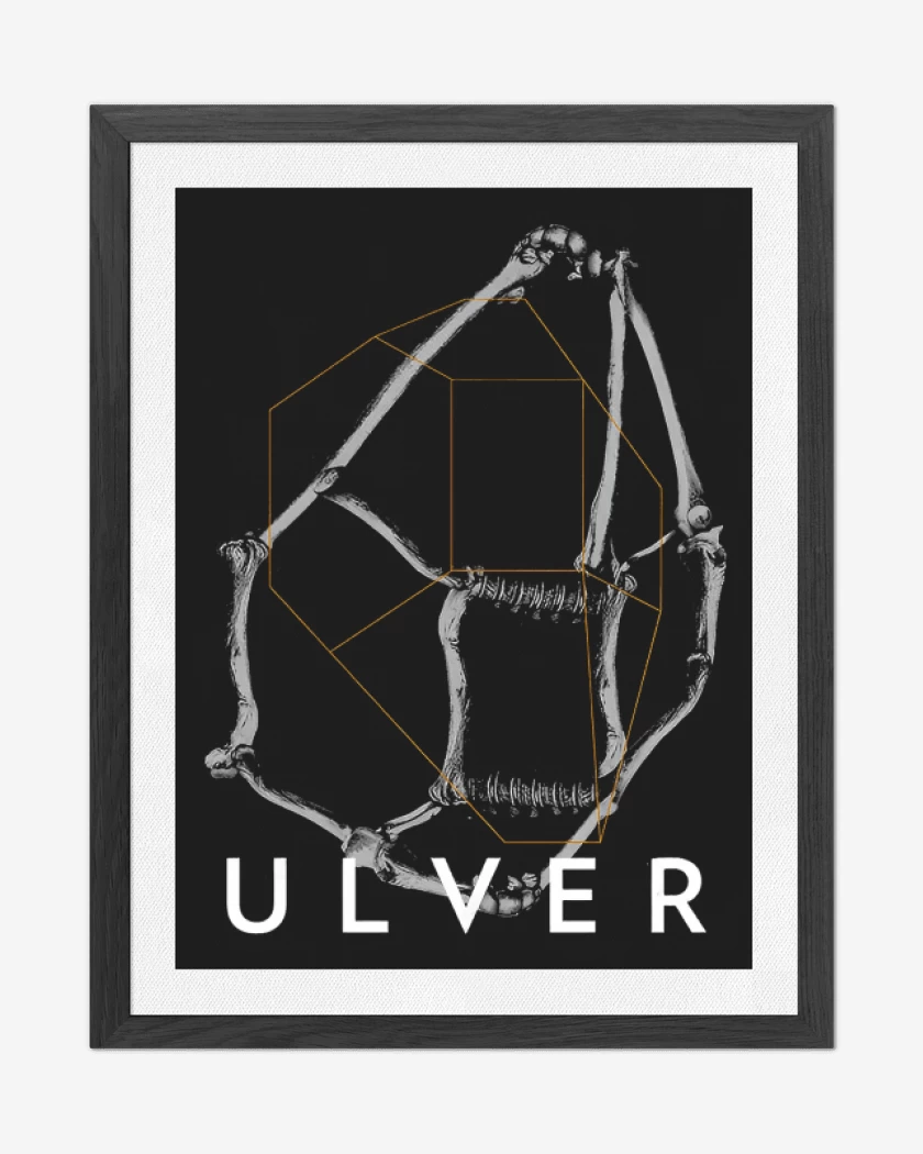 Cuadro decorativo Negro de Ulver Bones
