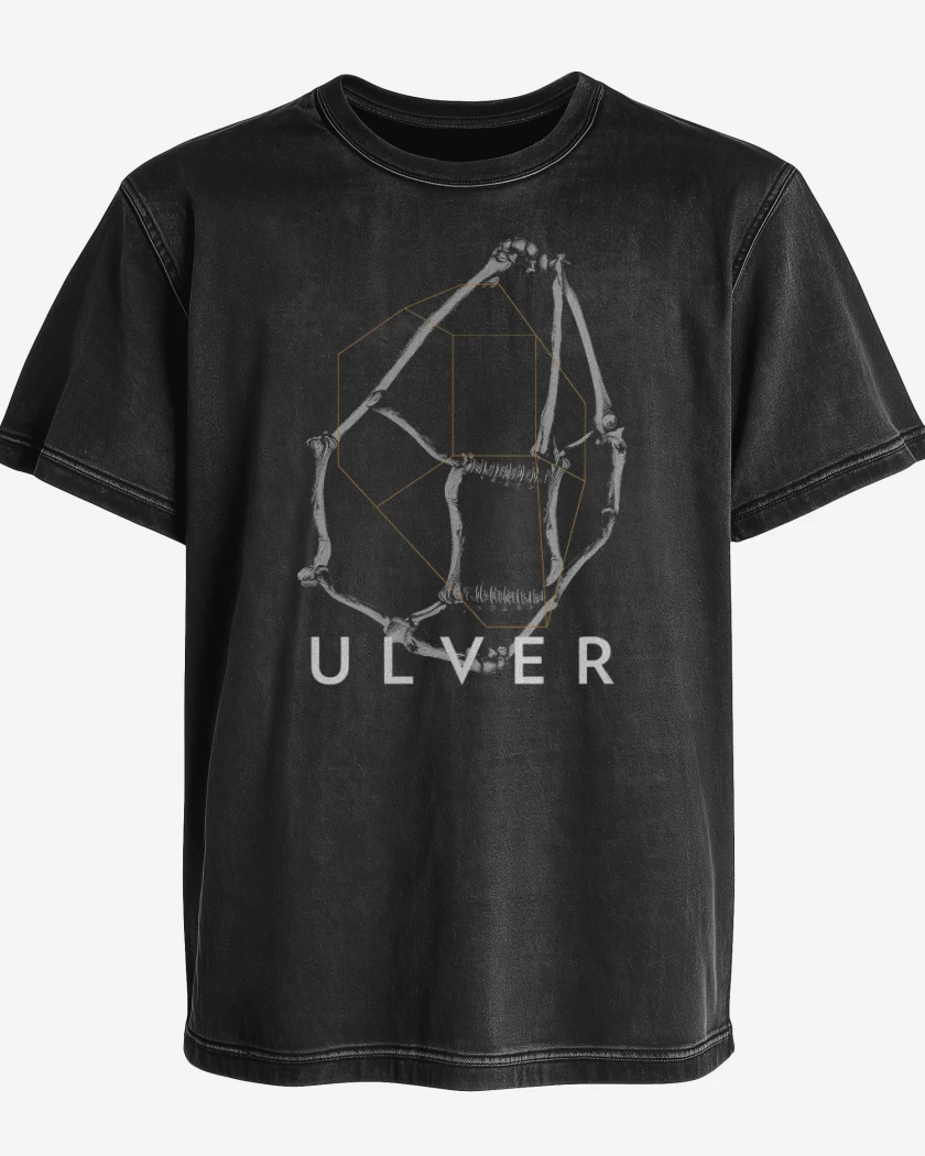 Polera desgastada Negro de Ulver Bones