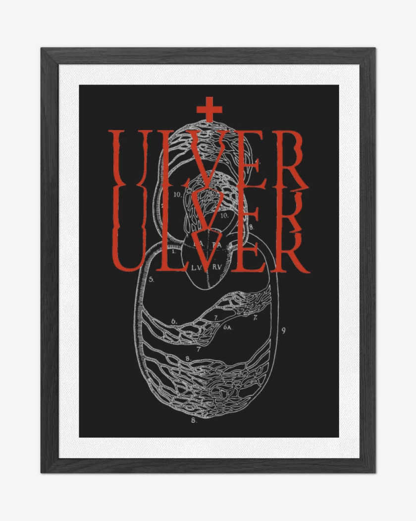 Cuadro decorativo Ulver Roadburn