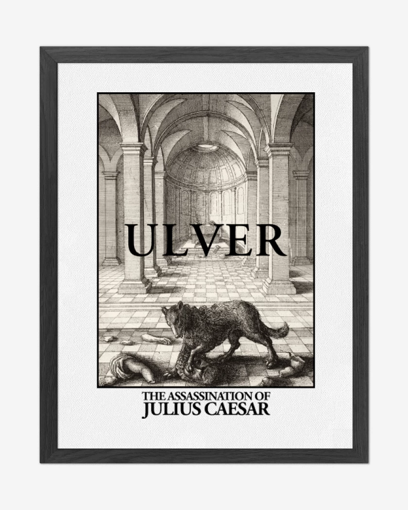 Cuadro decorativo Ulver The Assassination