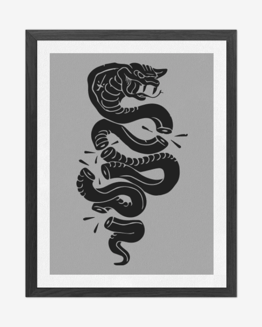 Cuadro decorativo Gris Melange de Cobra