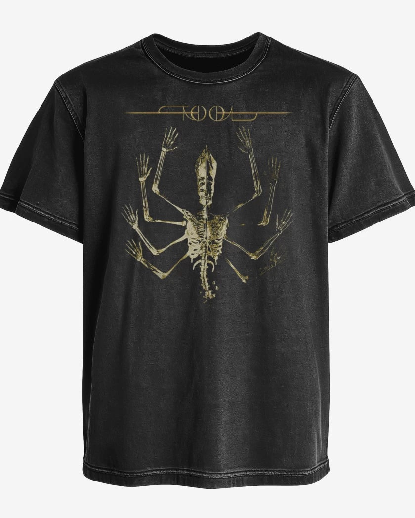 Polera desgastada Tool en Chile