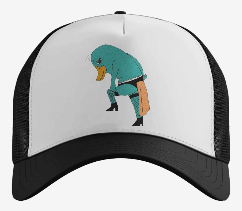 Gorro Perry El OrtitoRico