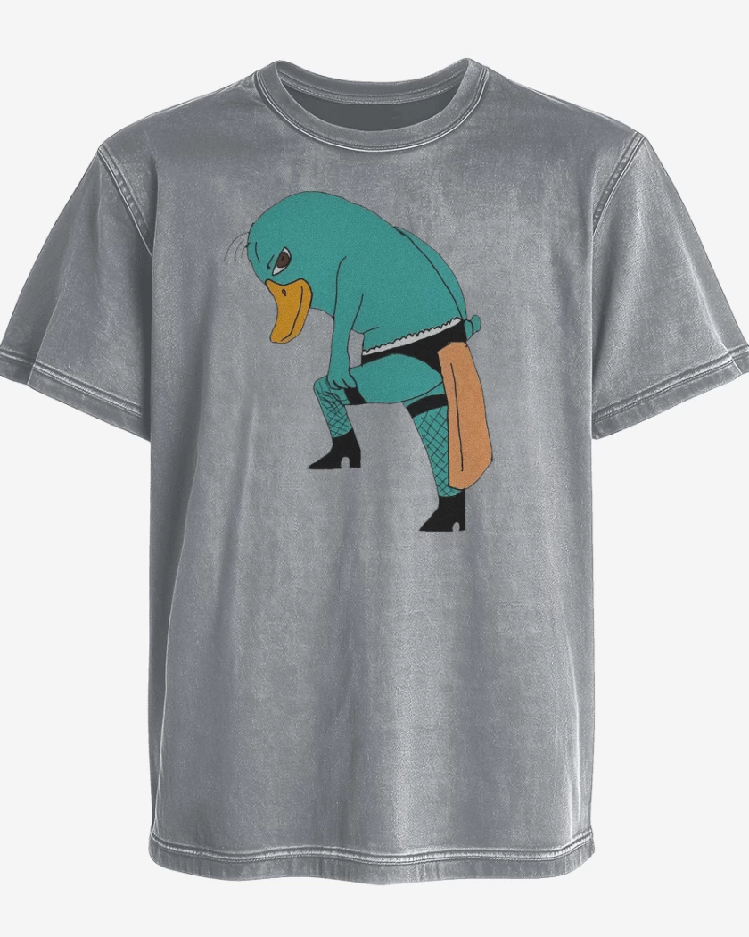 Polera desgastada Perry El OrtitoRico