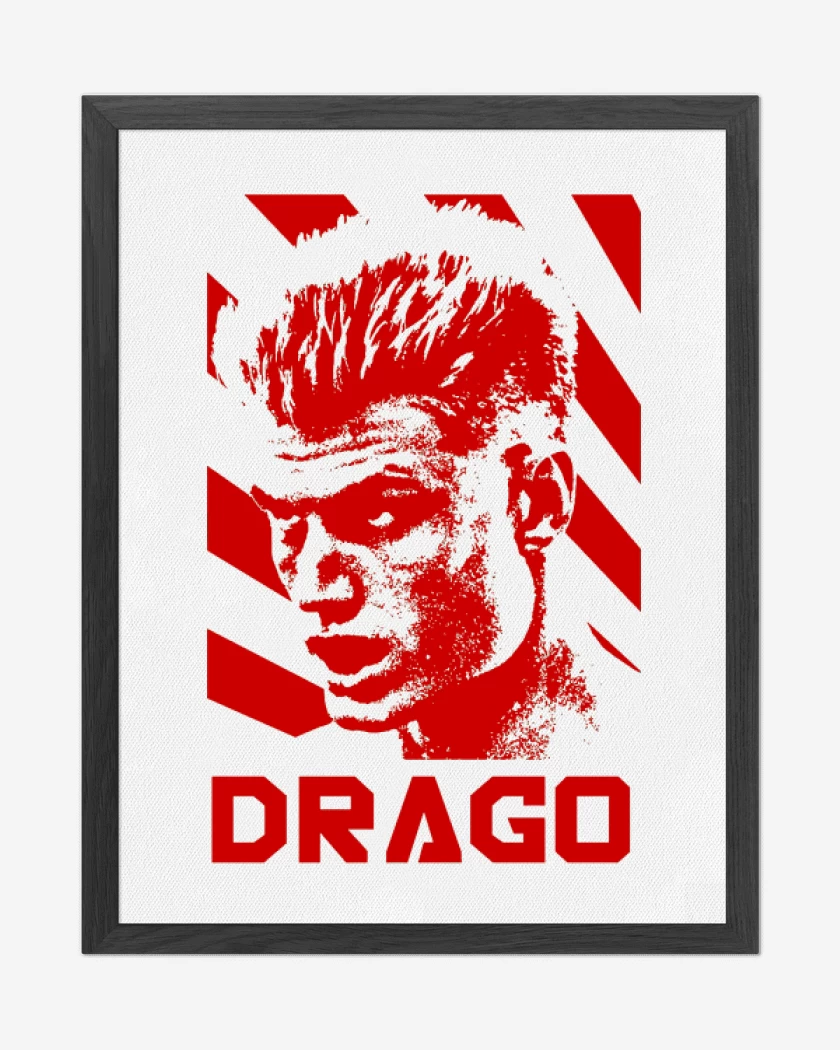 Cuadro decorativo Blanco de Drago