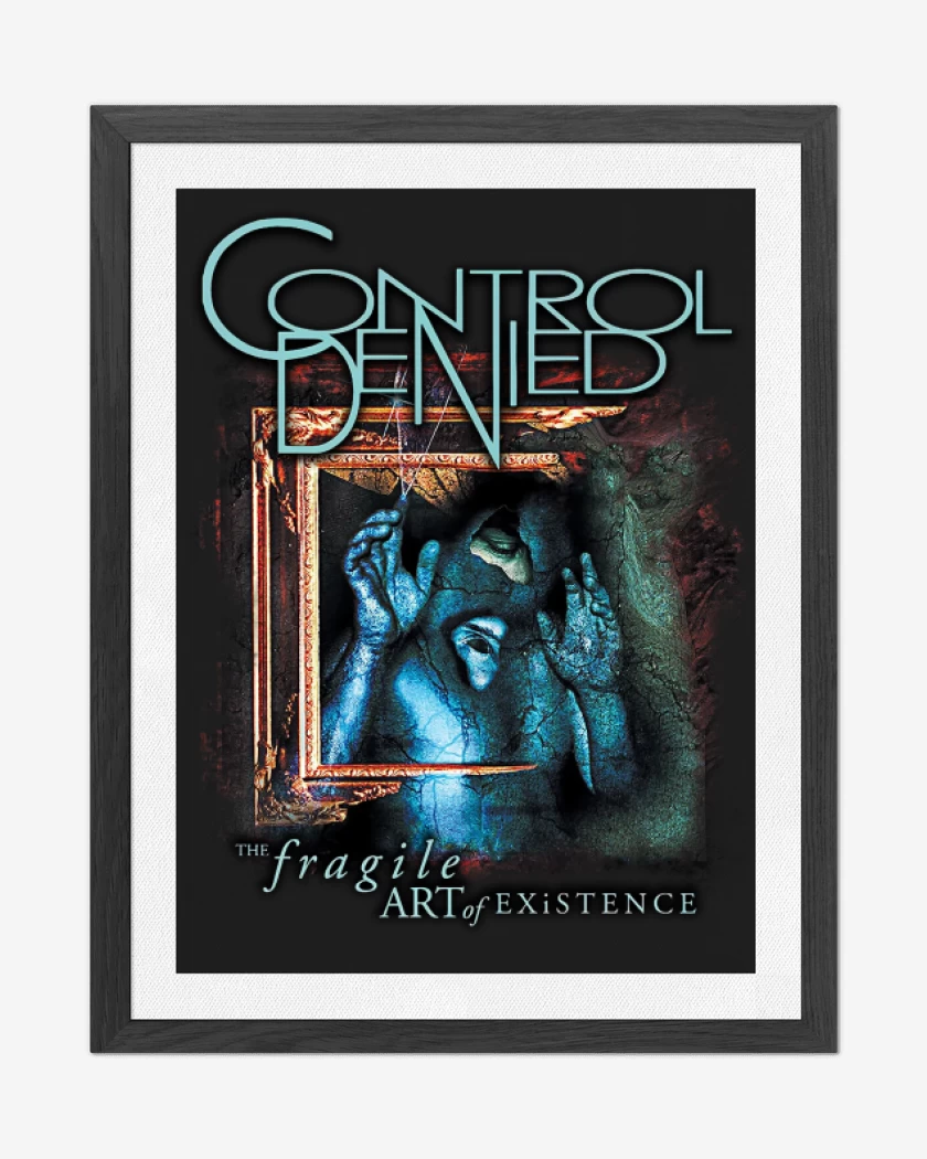 Cuadro decorativo Control Denied The Fragile