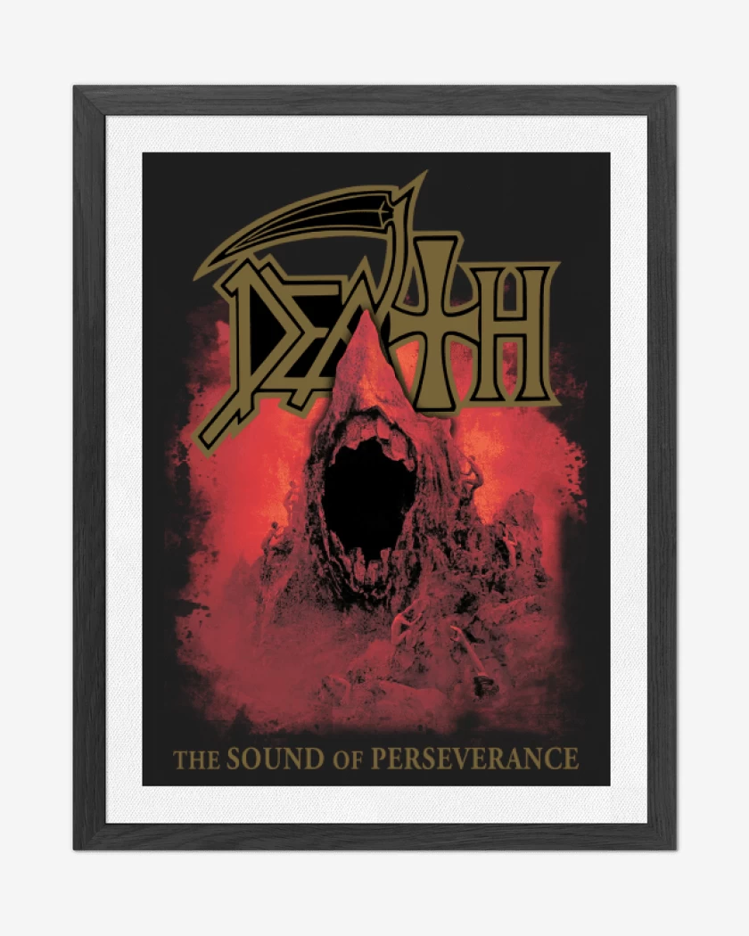 Cuadro decorativo Death The Sound of Perseverance