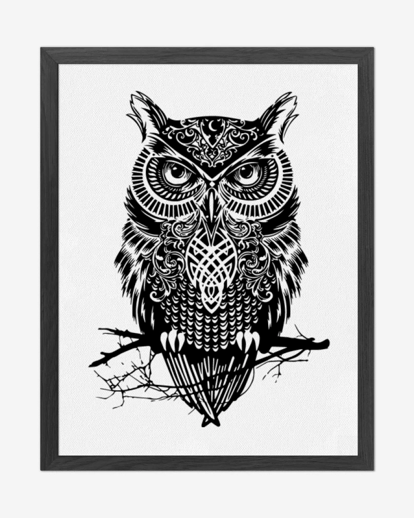 Cuadro decorativo Blanco de Buho