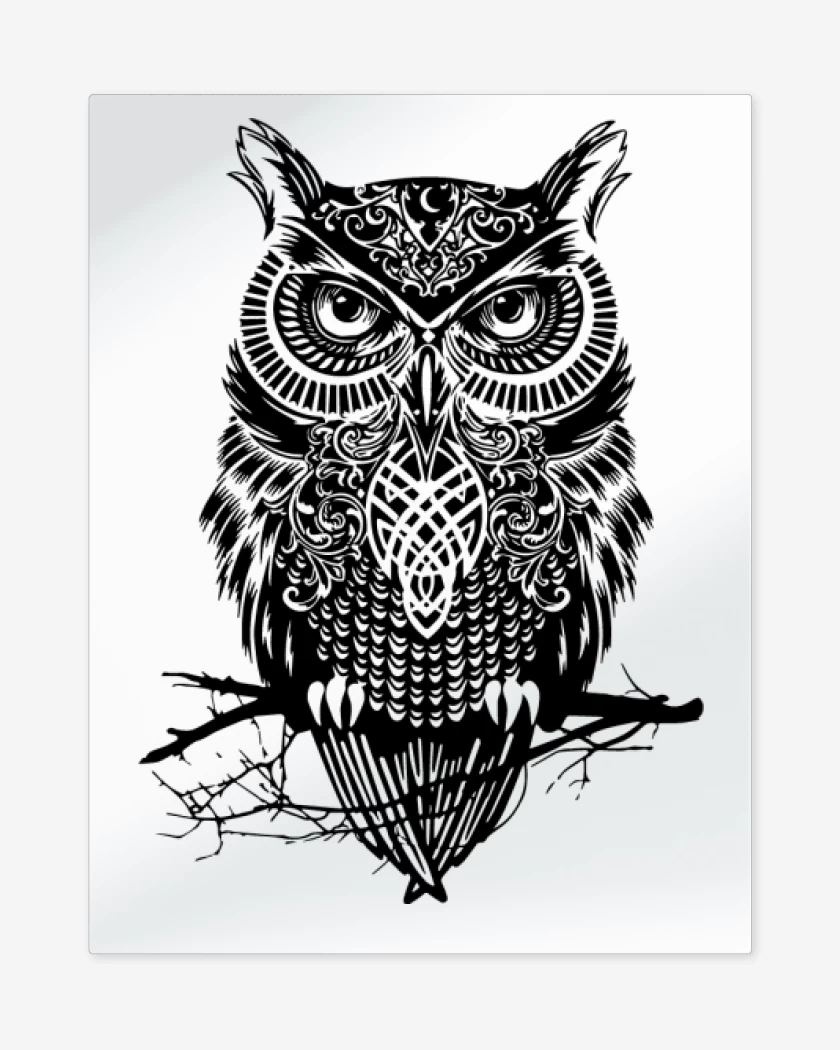 Print metalico Blanco de Buho