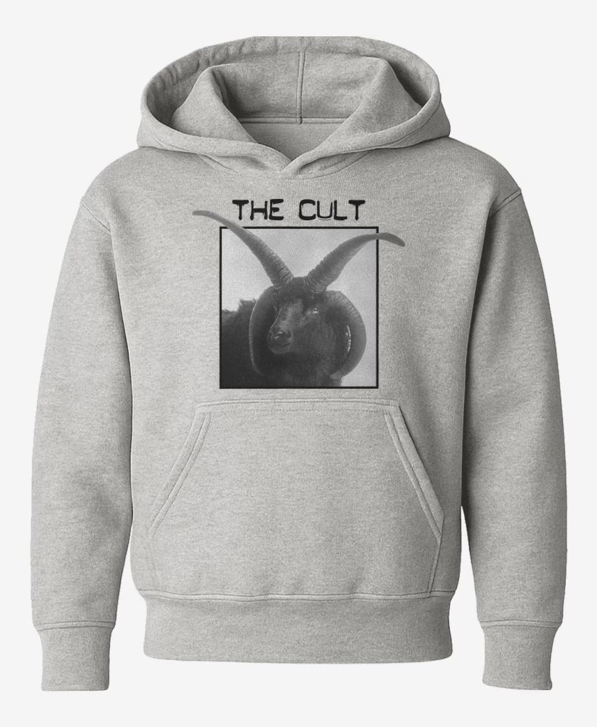 Poleron de niño Gris Melange de The Cult