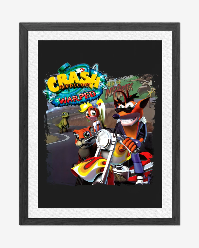 Cuadro decorativo Crash Bandicoot 3 Warped