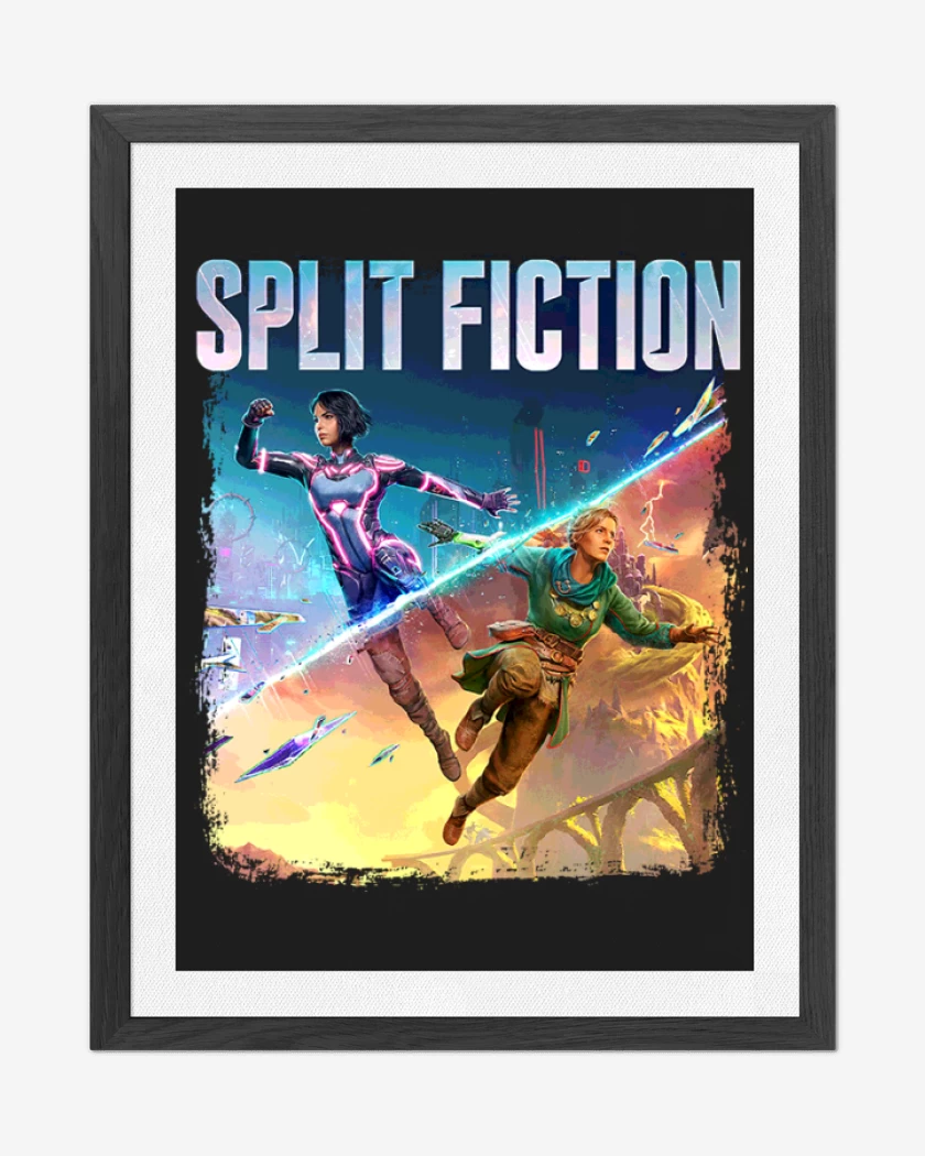 Cuadro decorativo Split Fiction